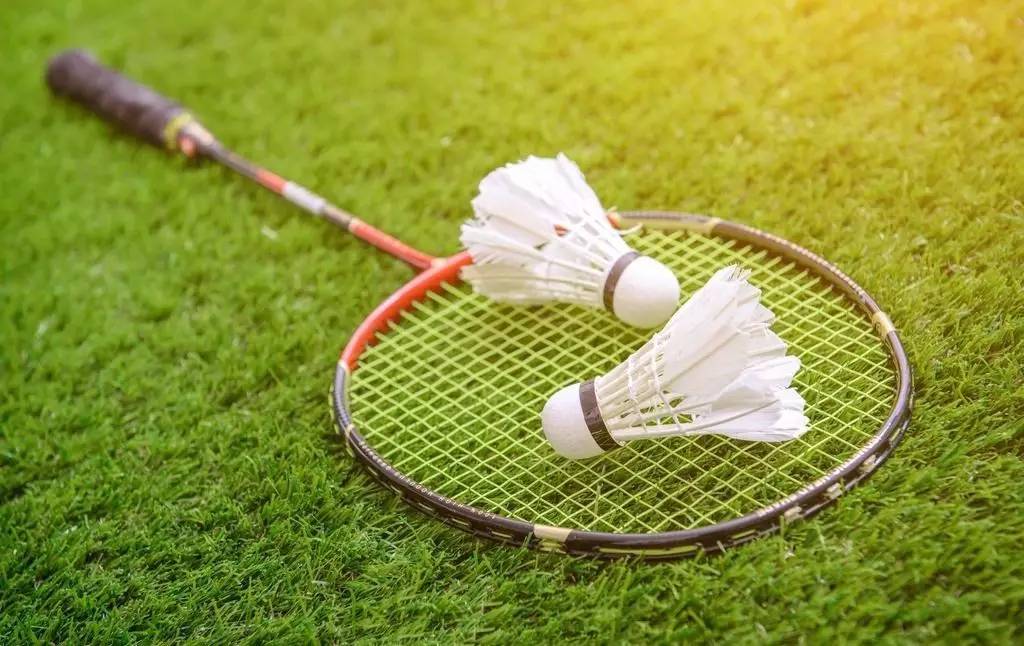 在比赛成绩 在比赛成绩