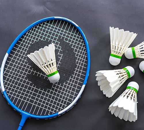 乐蒂组合的 乐蒂组合的