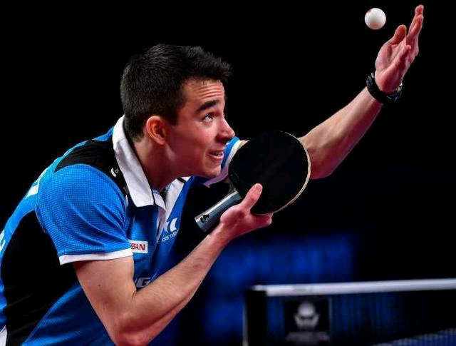 功奠定了自 功奠定了自